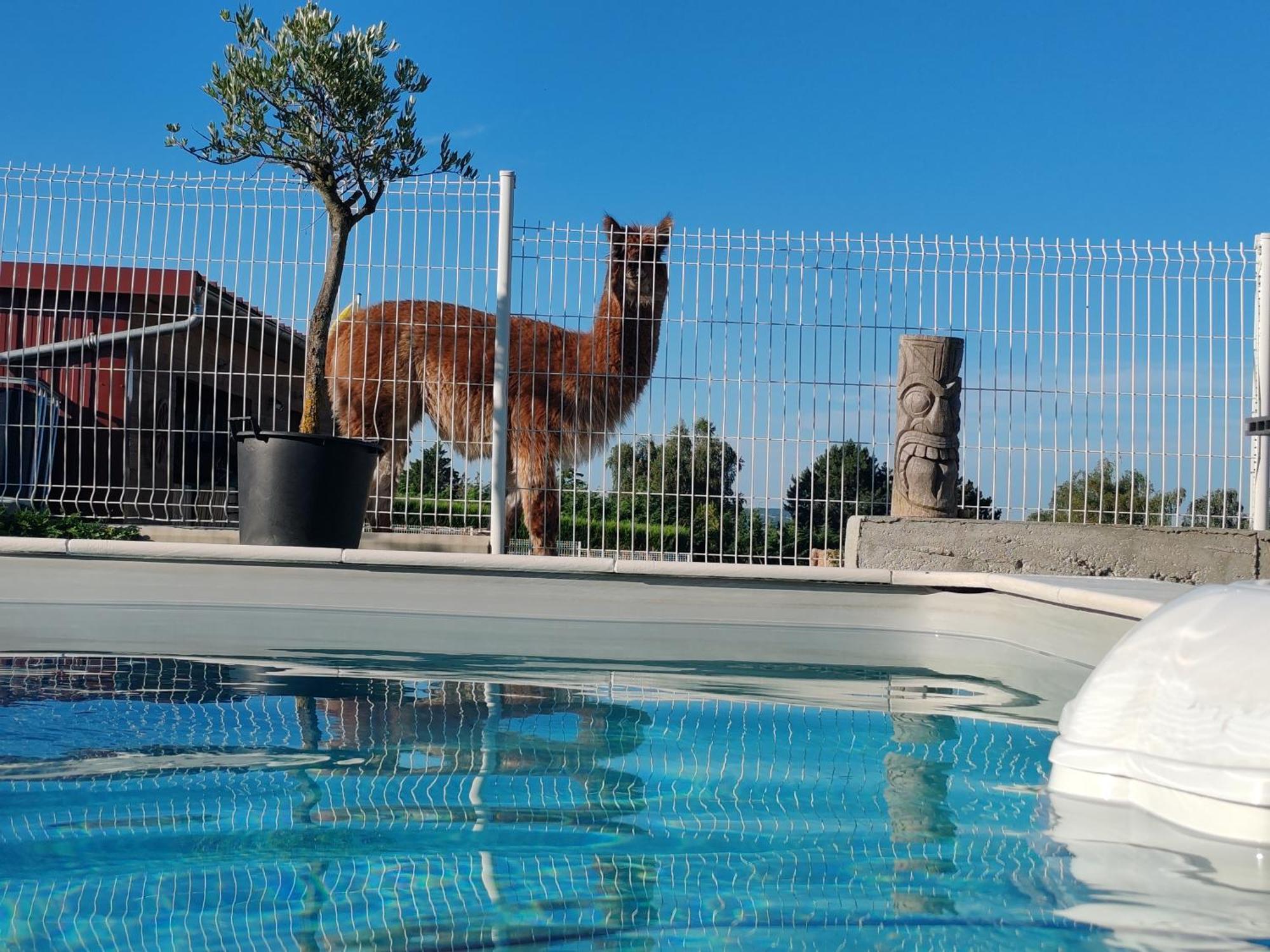 Villa Tiny House Des Bougnats Teilhede Exterior foto